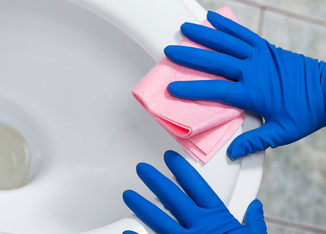 Toilet Rag